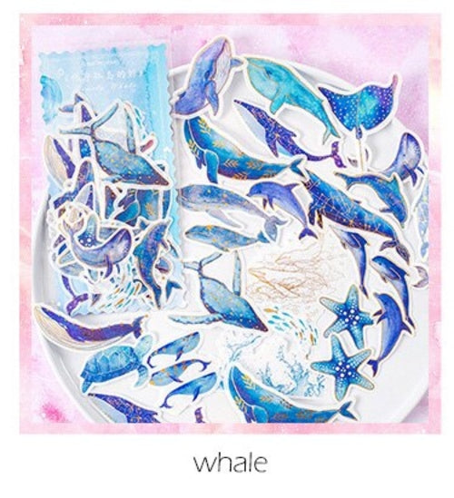 60 Piece Cute Celestial Sticker Pack