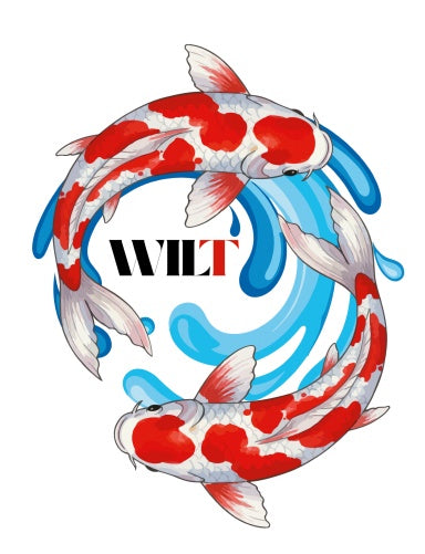 Book Cover Variant Thumbnail